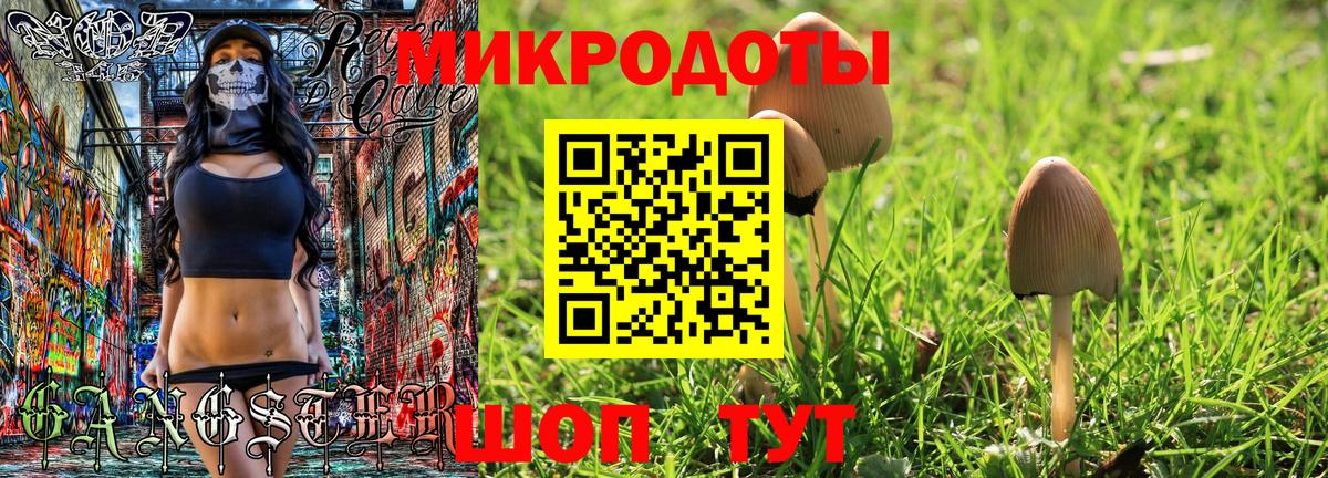 Псилоцибиновые грибы мухоморы Усть-Джегута