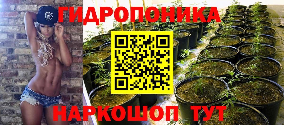 Канабис THC 21% Усть-Джегута
